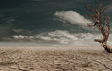 June 17 is World Day to Combat Desertification and Drought. #UNDay #WDCD2019 #UNCCD World Day to Combat Desertification and Drought (WDCD) https://unique2brilliance.com/important-days/world-day-to-combat-desertification-and-drought/ Cacing Tanah, الكوارث الطبيعية, Contingency Plan, Bare Tree, Clay Soil, Sigmund Freud, Papa Francisco, Alam Yang Indah, Photo Images