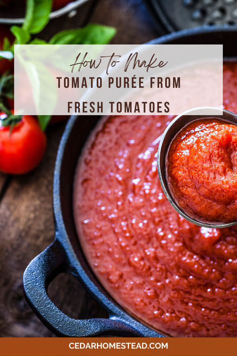 Making tomato purée from fresh tomatoes is so simple. But what is between tomato purée? This blog posts discusses tomato purée vs sauce, tomato purée vs passata, tomato purée vs strained tomatoes, and even discusses frozen tomato purée and how to properly store it and use it. Homemade Tomato Puree, Freezing Tomatoes, Tomato Puree, Simple Farmhouse, What Is, Savory Sauce, Plum Tomatoes, Fresh Tomatoes, Farmhouse Living