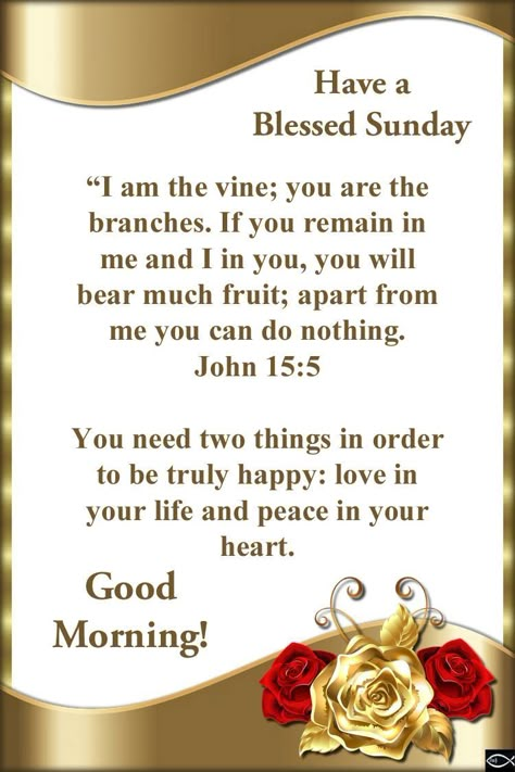 Sunday Morning Scripture, Sunday Bible Verse, Wonderful Day Quotes, Sunday Morning Prayer, Morning Verses, Good Morning Scripture, Blessed Sunday Morning, Blessed Sunday Quotes, Good Morning Bible Verse