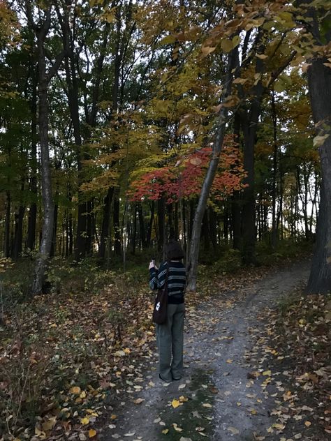 Forest In Fall Aesthetic, Autumn Indie Aesthetic, October Core Aesthetic, 70s Fall Aesthetic, Indie Fall Aesthetic, Autumn Grunge Aesthetic, Fall Grunge Aesthetic, Autumn Aesthetic Green, Green Autumn Aesthetic