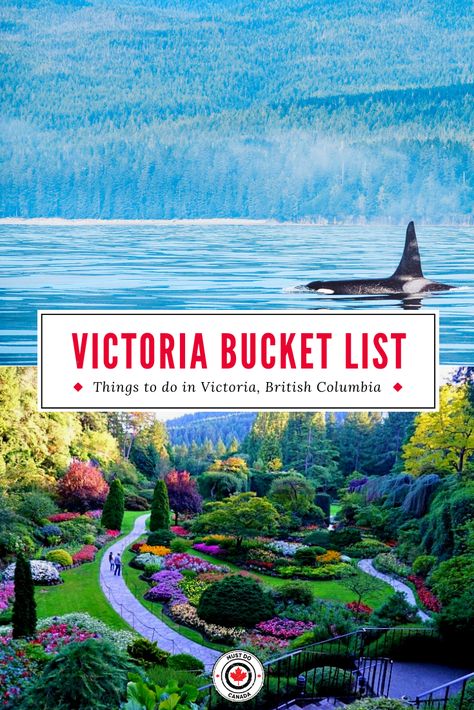 Are you planning a vacation in Victoria, British Columbia? Here is your guide to Victoria, BC - including where to stay, the top things to do in Victoria, and so much more! I things to do in British Columbia I Canada travel I what to do in BC I where to go in British Columbia I places to go in BC I where to go in Canada I what to do in Victoria I travel in British Columba I travel in Canada I Victoria guide I places to go in Victoria I destinations in British Columbia I #Canada #BritishColumbia Map Of British Columbia, Day Trip To Victoria Bc, Victoria Canada British Columbia Travel, Canada Bc British Columbia, British Colombia Travel, Vancouver Island Victoria, Places To Visit In British Columbia, Visiting Victoria Bc, Victoria Things To Do