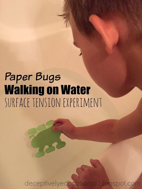 Relentlessly Fun, Deceptively Educational: Paper Bugs Walking on Water (Surface Tension Experiment) Bug Activities, Water Experiments, Bugs Preschool, Insect Activities, Walking On Water, Science Experiments For Preschoolers, Surface Tension, Easy Science Experiments, Water Surface