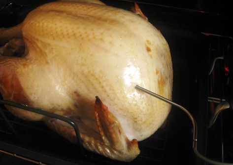 Where to Place the Thermometer in Turkey? | ThermoPro Where To Place Thermometer In Turkey, Thanksgiving Meat, Turkey Temp, Turkey Temperature, Hen Recipes, Cooking The Perfect Turkey, Cornish Hen Recipe, Turkey Places, Cornish Hen