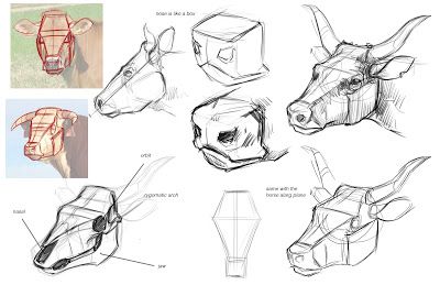 Cow head Jon Kuo Art How To Draw Cows, How To Draw Cow, Drawing Cows, Cow Reference, Highland Cow Drawing, Cow Sketch, Drawings Of Animals, Animal Painter, Animal Studies