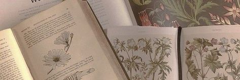 Twitter header/layout Cottagecore Cover Photo, Vintage Header Aesthetic, Notion Cover Aesthetic Hd, Dark Beige Twitter Header, Fairy Twitter Header, Book Banner Aesthetic, Twitter Header Aesthetic Vintage, Book Twitter Header, Light Academia Header