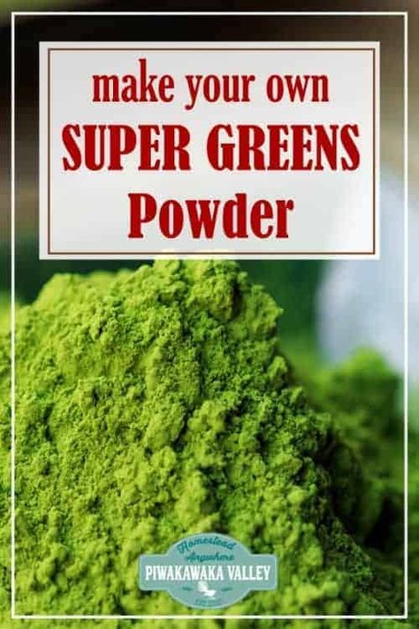 Diy Veggie Powder, Dehydrated Veggie Powder, Diy Green Powder, Veggie Powder Recipe, Powdered Greens Recipes, Diy Greens Powder, How To Make Greens Powder Taste Good, Green Powder Recipes, Super Greens Powder Recipes