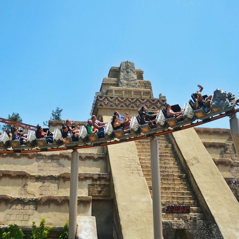 Jaguar! is a junior roller coaster located at Knott's Berry Farm in Buena Park, California. Knotts Berry Farm Jaguar, Coaster Aesthetic, Buena Park California, Scary Farm, Knotts Berry Farm, Buena Park, Berry Farm, Roller Coasters, Theme Parks