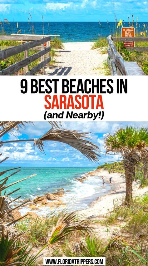 9 Best Beaches in Sarasota (and Nearby!) Sarasota Florida Beach, Madeira Beach Florida, Florida Vacation Spots, Sarasota Beach, Florida Beaches Vacation, Siesta Beach, Siesta Key Florida, Travel Florida, Venice Florida