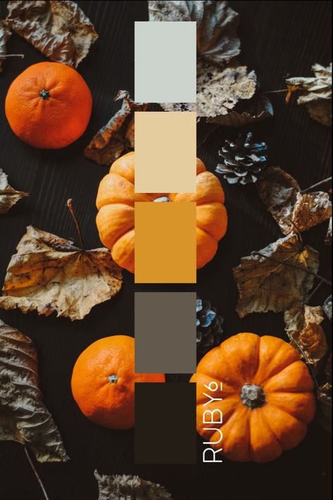 Embrace a unique twist on Halloween with our earthy, natural tone color palette. Infuse your spooky celebrations or branding with a touch of rustic charm and enchanting elegance. 🎃🍂🍁 #HalloweenPalette #EarthyColors #branding Retro Halloween Color Palette, Spooky Palette, Halloween Colour Palette, Spooky Color Palette, Halloween Color Scheme, Halloween Palette, Halloween Color Palette, Tone Color Palette, Halloween Colors