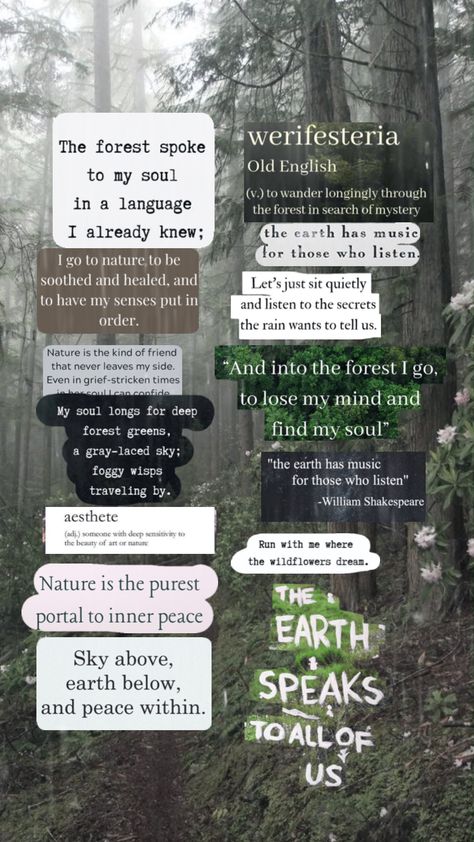 #nature #forest #natureaesthetic #rain #naturequotes #quotes #earthaesthetic Forest School Quotes, Forest Captions Instagram Aesthetic, Aesthetic Rain Quotes, Forest Quotes Instagram, Rain Quotes Aesthetic, Nature Aesthetic Quotes, Forest Quotes, Readers Quotes, Rain Quotes