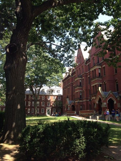 Harvard Acceptance Letter Aesthetic, Harvard Pictures Ideas, Harvard University Aesthetic Wallpaper, Boarding School Campus, Harvard Student Aesthetic, Harvard University Aesthetic, University Of Harvard, Harvard Aesthetic, Boston Harvard