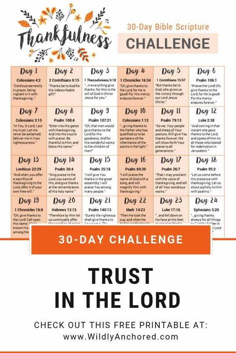 Cultivating a Heart of Thankfulness + 30-Day Thankfulness Scripture Challenge Printable Scriptures About Thankfulness, Thankfulness Scripture, 30 Days Of Thankfulness, Thankful Scripture, Scripture Challenge, Bible Plans, Gods Will, Scripture Writing Plans, Scripture Writing