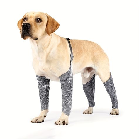 Faster shipping. Better service Bunny Harness, Recovery Shirts, Dog Pants, Dog Hammock, Dog Sling, Dog Leg, Leg Sleeves, Outdoor Dog, Golden Retrievers