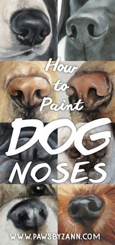 Dog Noses, Dog Drawing Tutorial, Pet Portrait Paintings, Dog Portraits Painting, Dog Portraits Art, 강아지 그림, Dog Nose, Watercolor Dog, Dog Drawing