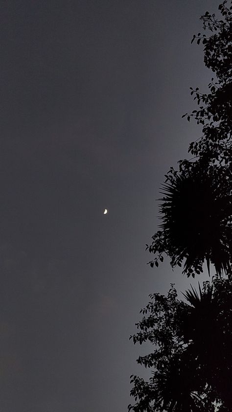 Moon Gazing, Desi Aesthetics, Random Pictures, Desi, Moon, Quick Saves