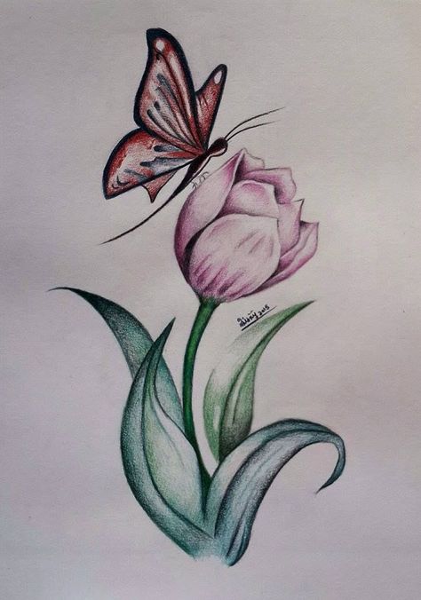 Butterfly Drawing On Flower, Flower Drawing With Butterfly, Flowers Butterfly Drawing, Flowers With Butterflies Drawing, Flower Drawing Pencil Easy, Butterfly Love Drawing, Flowers With Butterfly Drawing, Drawing Ideas Nature Flower, Butterfly On Flower Drawing Easy