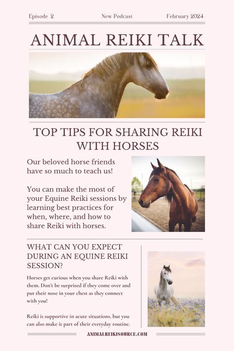 Horses are incredible teachers, and there is so much we can learn from them! 🐴 If you're already (or even interested!) in sharing Reiki with horses, discovering top tips for Equine Reiki can deepen your connection and help you make the most of your time together. Horses Tips, Animal Reiki, Horse Tips, Reiki Healing, Top Tips, Namaste, Reiki, Meditation, Healing