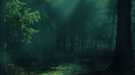 Download wallpaper 1280x720 forest, fog, trees, shadows, light hd, hdv, 720p hd background Desktop Backgrounds Hd, Computer Wallpaper Hd, Nature Desktop, Dark Forest Aesthetic, Dark Green Wallpaper, Dark Landscape, Backgrounds Hd, Dark Green Aesthetic, Desktop Wallpaper Art