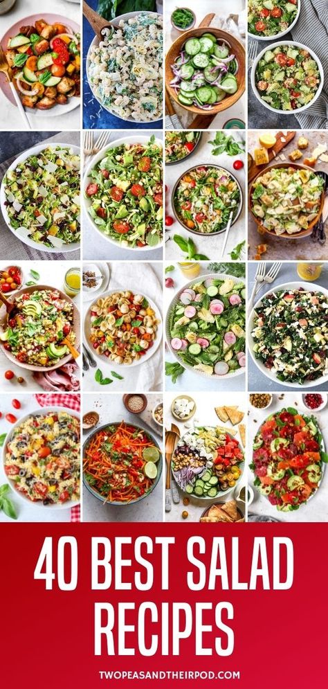 40 Best Salad Recipes Salad Trio Ideas, Salads For Catering, Salads Bar Ideas, Simple Salad For A Crowd, Spoon Salad Recipe, Easy Potluck Salads Simple, Salad Party Ideas Entertaining, Salads For Parties Make Ahead Easy, Catering Salads Ideas