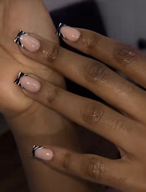 Nails French Tip Black And White, Black Acrylic Nails Designs Ideas Short, Short Zebra Nail Designs, French Nail Designs On Short Nails, Cute Short Black French Tip Nails, White And Black Short Acrylic Nails, Black Tip Biab Nails, Zebra French Tip Nails Short, French Tip Nails With Black Design