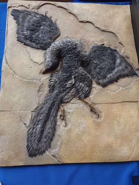 Dinosaur Art, The Natural, Geology, Fossil, Sculpture, Canvas, Nature