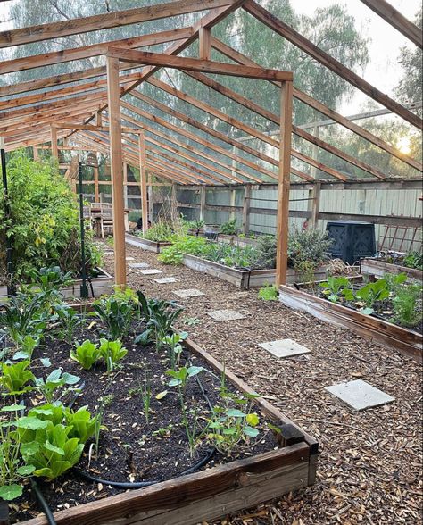 Great way to keep animals out but let (beneficial)insects in. Dream Backyard Garden, Lots Of Plants, Large Greenhouse, Vegetable Garden Diy, Diy Raised Garden, Backyard Greenhouse, Garden Greenhouse, Greenhouse Gardening, Vegetable Garden Design