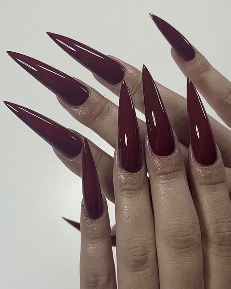 nailsbymexyy Burgundy Black Nails Acrylic, Wine Red Pointy Nails, Red Wine Stiletto Nails, Red Stilettos Nails, Deep Red Stiletto Nails, Cherry Red Stiletto Nails, Burgundy Nails Stiletto, Blood Red Acrylic Nails, Long Burgundy Nails