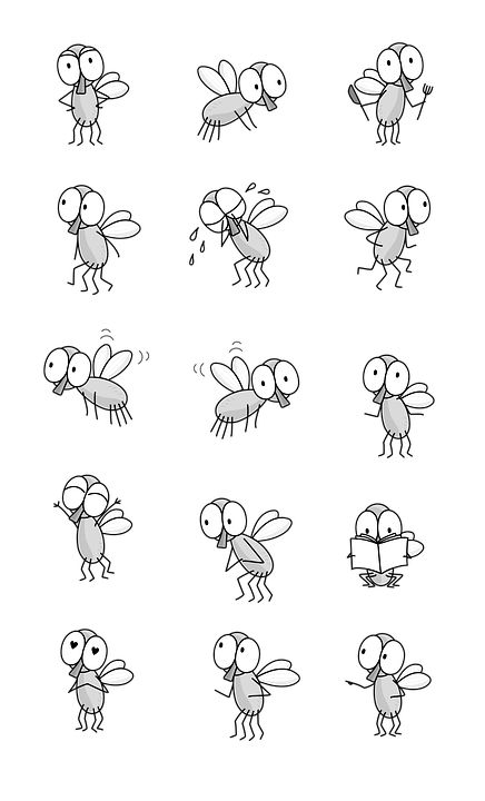 Fly Cartoon Drawing - Free image on Pixabay Fly Cartoon, Fingerprint Art Kids, Bug Cartoon, Bugs Drawing, Animal Line Drawings, Fly Drawing, Bird Doodle, Flying Tattoo, Fingerprint Art