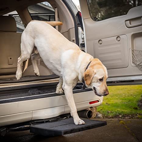 Dog Ramp For Car, Car Travel Accessories, Pickup Trucks Bed, Pet Ramp, Car Ramps, Dog Ramp, Pet Steps, Trailer Hitch Receiver, Dog Essentials