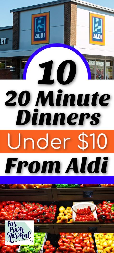 10 Dollar Meals, Cheap Meal Plans, Frugal Meal Planning, 20 Minute Dinners, Aldi Meal Plan, Cheap Family Meals, Aldi Recipes, Meal Planning Menus, Easy Cheap Dinners