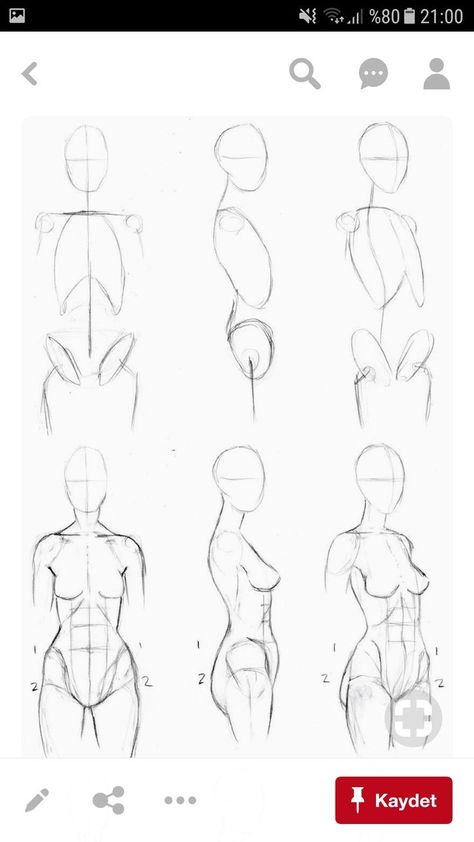 Lean Female Reference, Human Torso Reference, Woman Body Sketch, Side View Drawing, Figure Drawing Tutorial, Art Of Drawing, Female Anatomy Reference, Human Sketch, Human Body Drawing