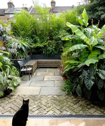 How to Make the Most of Your Courtyard Garden | Houzz UK Garden Ideas Uk, Small Tropical Gardens, Tropical Patio, Tropical Garden Design, Small Courtyard Gardens, Jungle Gardens, Courtyard Gardens Design, Back Garden Design, Garden Paving