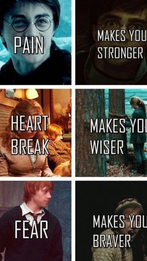 Harry Potter Lessons, Harry Potter School, Citate Harry Potter, Funny Harry Potter Jokes, Potter Quotes, Harry Potter Wizard, Buku Harry Potter, Harry Potter Feels, Harry Potter Puns