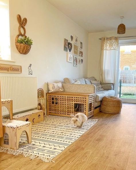 Bunny Room, Pet Bunny Rabbits, Indoor Rabbit, Bunny Cages, Bunny Mom, Rabbit Cage, Bunny House, House Rabbit, Animal Room