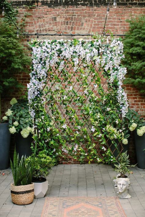 Easy trellis ceremony backdrop with wisteria! This elegant DIY project can be whipped up using silk flowers, PVC pipe and your inner Chip and Joanna Gaines. We mean it! This is an ideal statement piece for couples wanting lots of blooms without the price Diy Ivy Trellis, Trellis Backdrop, Diy Wisteria, Trellis Wedding, Ivy Trellis, Wisteria Trellis, Vertikal Garden, Trellis Fence, Dahlia Bouquet