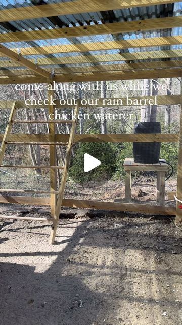 The Reserve at Pierce Farms on Instagram: "Rain barrel chicken waterer in more detail!  Hubby built this one day so that the chickens can be watered regularly with rain, how cool is that!  It makes the farm work lighter and less mess in their water🫶🏼 Drop your questions here and farmer Jon will be sure to answer them in the next video!  #farm #chickensofinstagram #backyardchickens" Rain Barrel For Chicken Coop, Rain Barrel Waterer For Chickens, Chicken Rain Water System, Rain Barrel Chicken Watering System, Barrel Chicken Waterer, Rain Barrel Chicken Waterer, Chicken Coop Watering System, Chicken Watering System, Chicken Waterer Diy