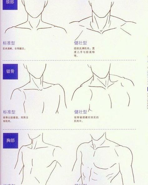 Male torso reference. Left is for uke, right is seme. Corak Menjahit, Human Figure Drawing, Drawing Faces, 인물 드로잉, Anatomy Drawing, Poses References, Digital Painting Tutorials, Figure Drawing Reference, Anatomy Reference