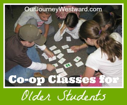 (This post contains affiliate links.) Many homeschool moms who teach co-op classes develop their own curriculum.  Me, too, for the most part.  However, I’ve found it a little more difficult t… Homeschool Coop, Logic And Critical Thinking, Homeschool Middle School, Mind Benders, Homeschool Lessons, Homeschool Field Trips, Homeschooling Resources, Homeschool Inspiration, Homeschool Classroom