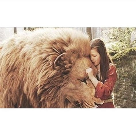 Narnia Lucy, Lucy Movie, Lucy Pevensie, Prince Caspian, Cs Lewis, Chronicles Of Narnia, Lion Of Judah, Arte Fantasy, Narnia