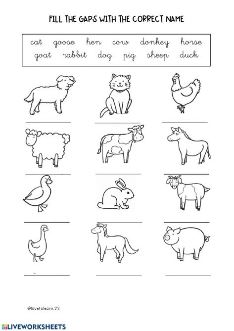 Name The Animals Worksheet, Farm Animals Worksheets For Grade 1, Farm Animals Worksheets For Kindergarten, Farm Animals Worksheets Preschool, Animals Worksheet For Grade 1, Pet Animals Worksheet, Vpk Worksheets, Farm Animals Worksheets For Kids, Domestic Animals Worksheets