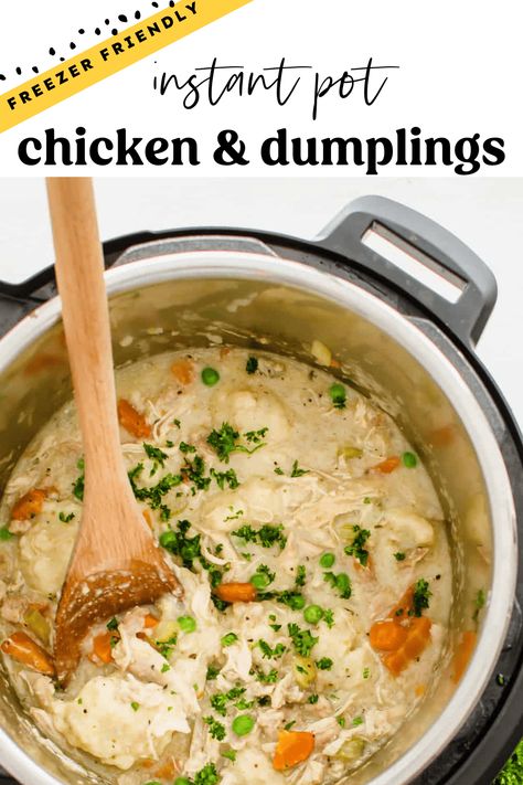 Instant Pot Chicken And Dumplings, Instant Pot Freezer, Instant Pot Freezer Meals, Best Freezer Meals, Thriving Home, Recipe Instant Pot, Healthy Freezer Meals, Pressure Cooker Chicken, Chicken Pot Pie Recipes