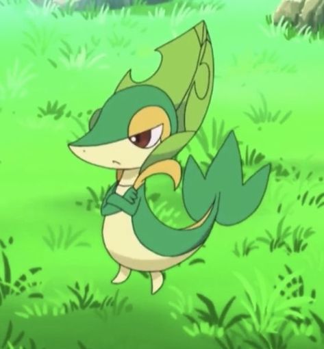 Snivy Pokemon, Pokémon Gif, Starter Pokemon, Oc Pokemon, Pokemon Gif, Pokémon Black And White, Black Pokemon, Pokemon Collection, Nintendo Art