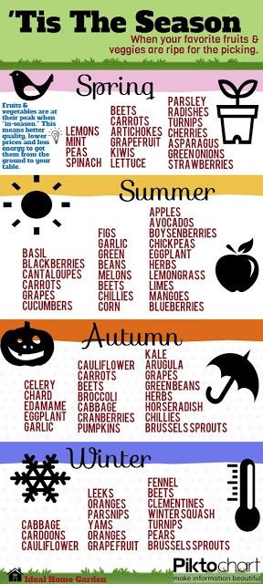 Things To Eat, Veg Garden, Fruit Garden, Veggie Garden, Cheat Sheet, Growing Vegetables, Permaculture, In The Fall, Fruits And Veggies