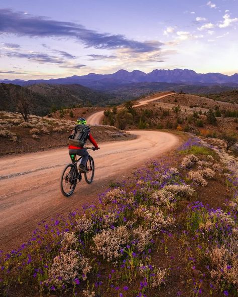 Flinders Ranges, Camping Photography, Land Of Oz, Going Solo, Best Sunset, Adventure Sports, Weekend Warrior, St Mary, South Australia