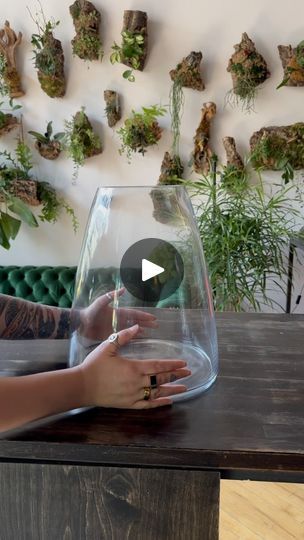 41K views · 45K reactions | A cute lil Colorado Rocky Mountains inspired terrarium build 🏔️ it’s pretty difficult to find plants that both look like our native flora and that will thrive in a terrarium but the best part of plants is the experimentation 🌿 What scenic landscape should we try in a terrarium next? 
.
.
.
#terrarium #terrariumdesign #rockymountains #coloradomountains #plantshop #terrariumplants #mossterrarium | REROOT GARDENS | ciaffa · Fine Line (Sped Up) Driftwood Terrarium Ideas, Cactus In Glass Vase, Terrariums With Crystals, Jar Ecosystem Terrariums, Terrarium With Fairy Lights, Terrarium Scene Ideas, Diy Closed Terrarium, Desert Terrarium Ideas, Terrariums Ideas