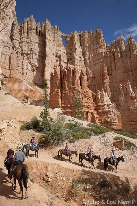 Bryce Canyon Horseback Riding | Bryce Canyon Horseback Tours Adventure Wallpaper, Abstract Hd, Bryce Canyon National Park, Utah National Parks, Bryce Canyon, Us National Parks, Trail Riding, Rock Formations, Zion National Park