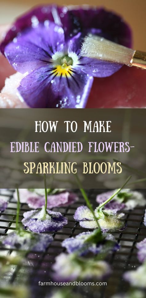 two pictures of edible flowers being candied Desserts With Edible Flowers, Candied Edible Flowers, Edible Flowers For Drinks, Flowers In Food, Edible Flower Cookies, Garnishes For Food, Sugared Flowers, Food Inspiration Aesthetic, Candied Flowers