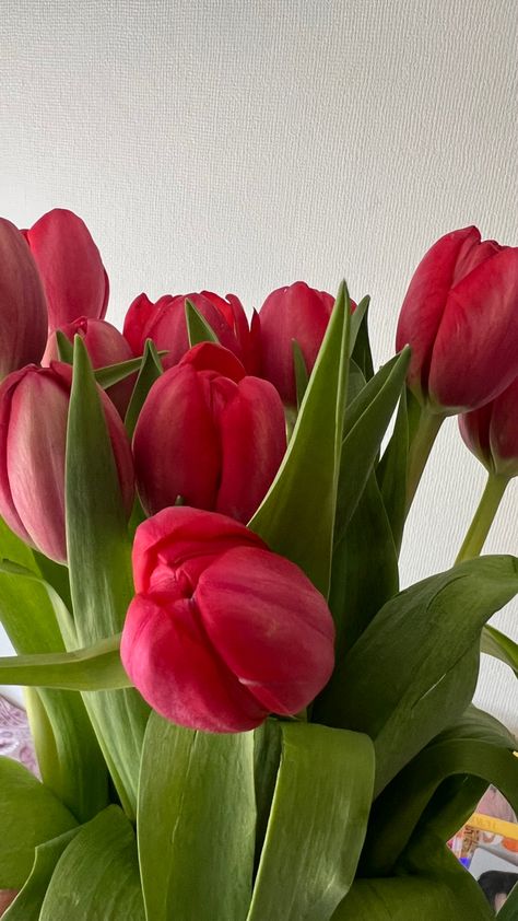 Dark Pink Tulips, Flowers Pink Aesthetic, Pink Tulips Bouquet, Aesthetic Floral, Boquette Flowers, Tulip Bouquet, Nothing But Flowers, Flower Therapy, Beautiful Bouquet Of Flowers