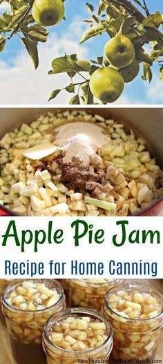 Apple Canning, Homemade Jellies, Carrot Cake Jam, Apple Pie Jam, Making Apple Pie, Canning 101, Christmas Jam, Jam Recipes Homemade, Canning Jam