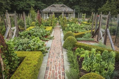 French Vegetable Garden, Vegetable Garden Design Ideas, Herb Garden Design, Potager Garden, Organic Vegetable Garden, Veg Garden, Garden Design Ideas, Love Garden, Vegetable Garden Design